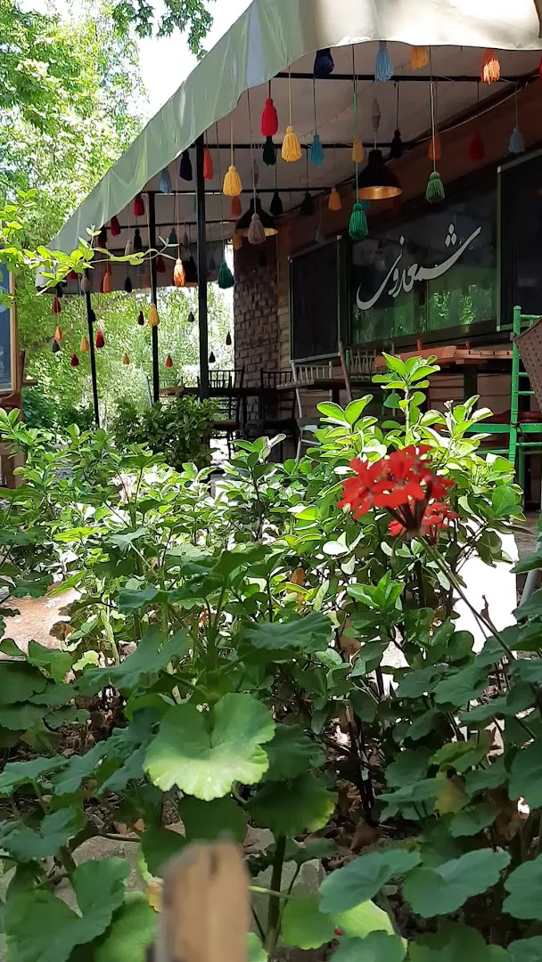 کافه رستوران شمعدونی (شعبه اصلی) - تصویر 2