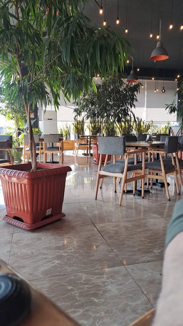 fungo cafe (شعبه اصلی)