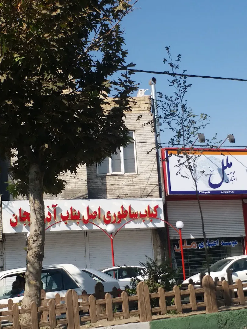 کباب ساطوری هادی خان (شعبه اصلی) - تصویر 4