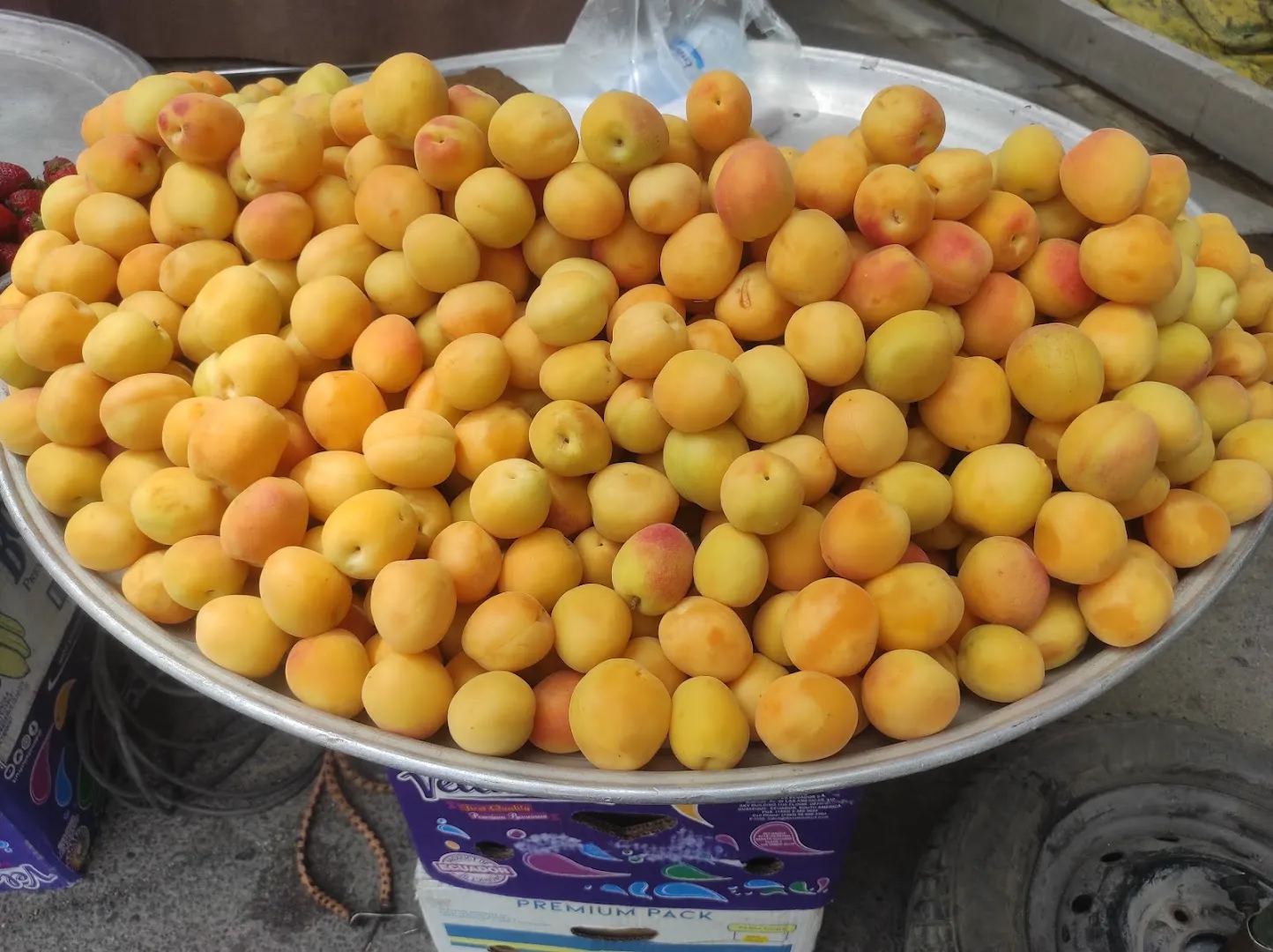 فست فود بیست (شعبه اصلی)