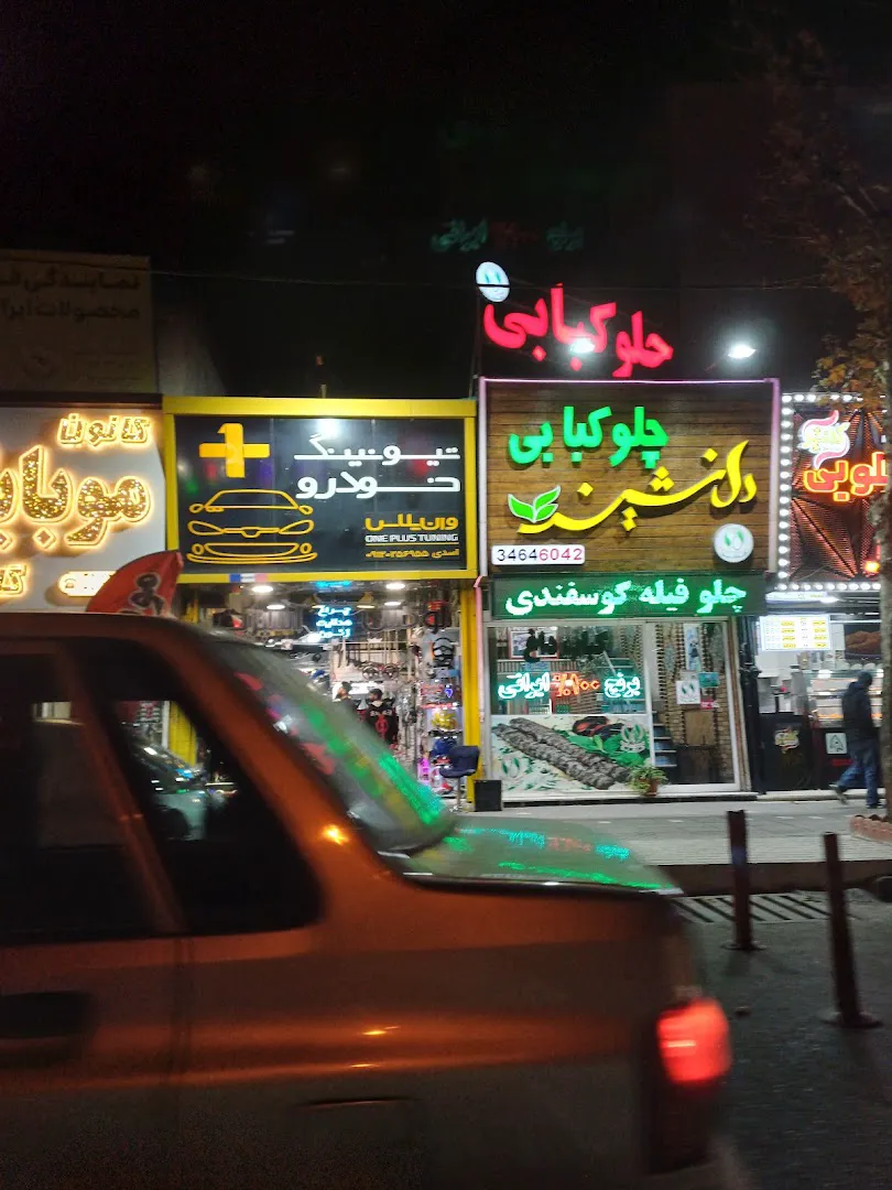 چلوکبابی دلنشین (شعبه اصلی) - تصویر 4