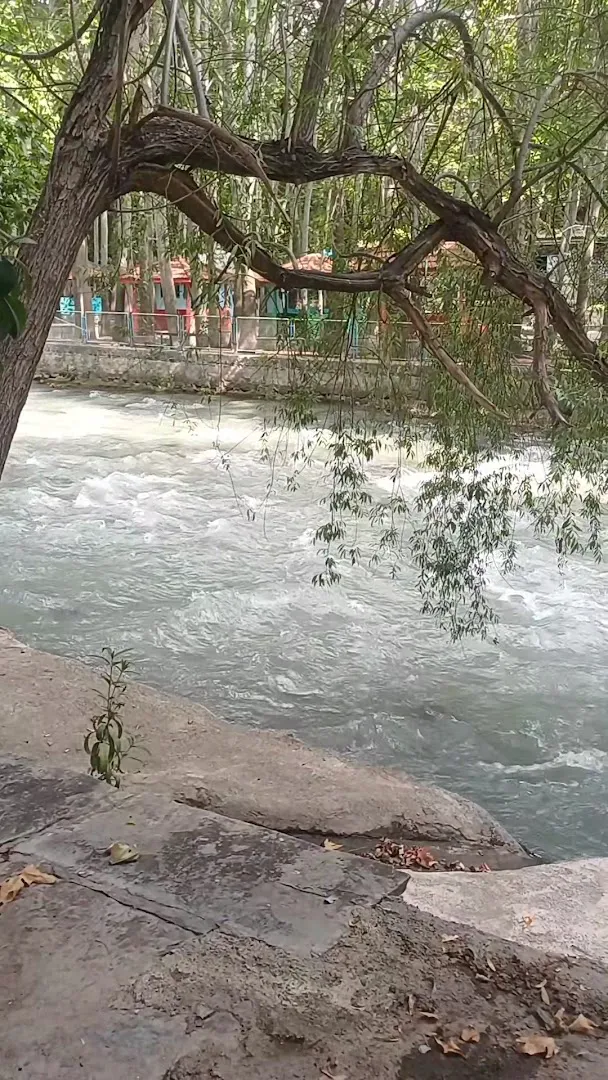 رستوران ماهان (شعبه اصلی) - تصویر 2