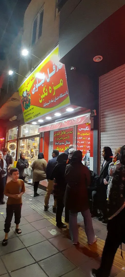 فلافل کیلویی مزه نگین (شعبه اصلی)