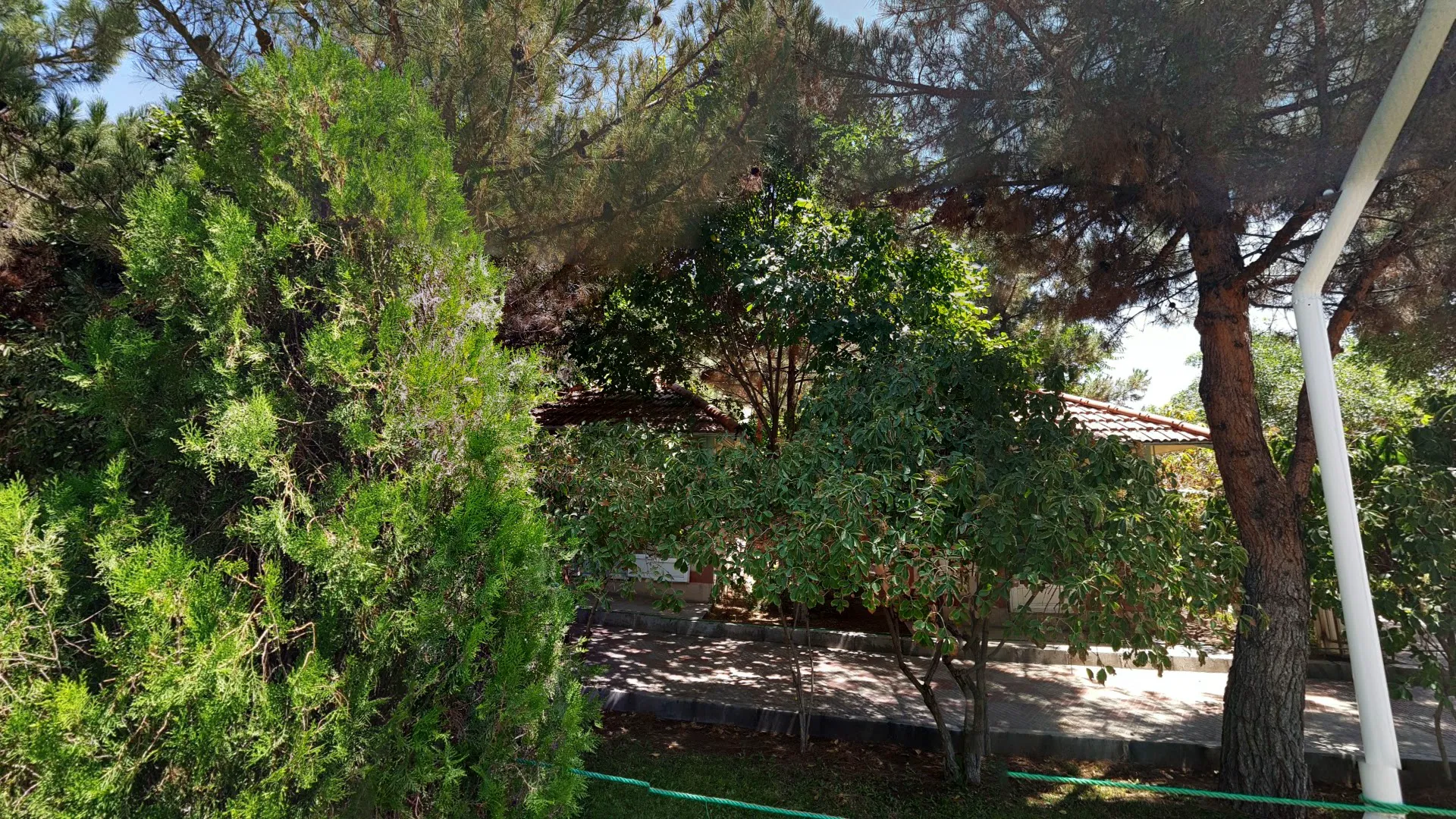 سفره خانه سنتی پتروشیمی (شعبه اصلی) - تصویر 3