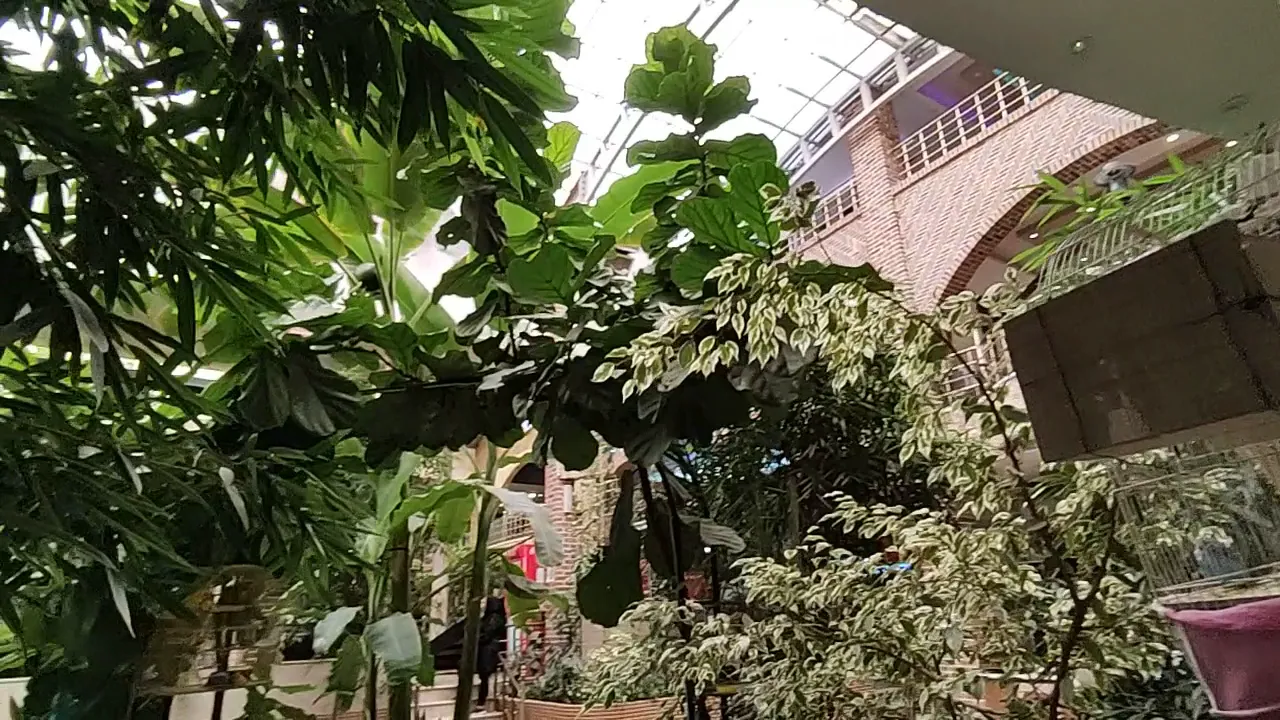 رستوران سنتی برکه (شعبه اصلی)