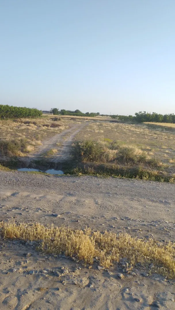 رستوران سنتی علیشاه (شعبه اصلی) - تصویر 3