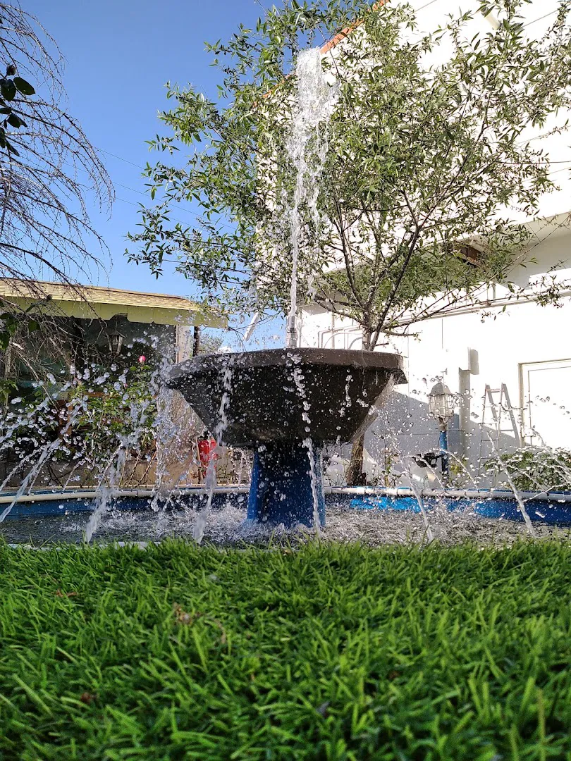 کافه و رستوران سنتی ویوا (شعبه اصلی)