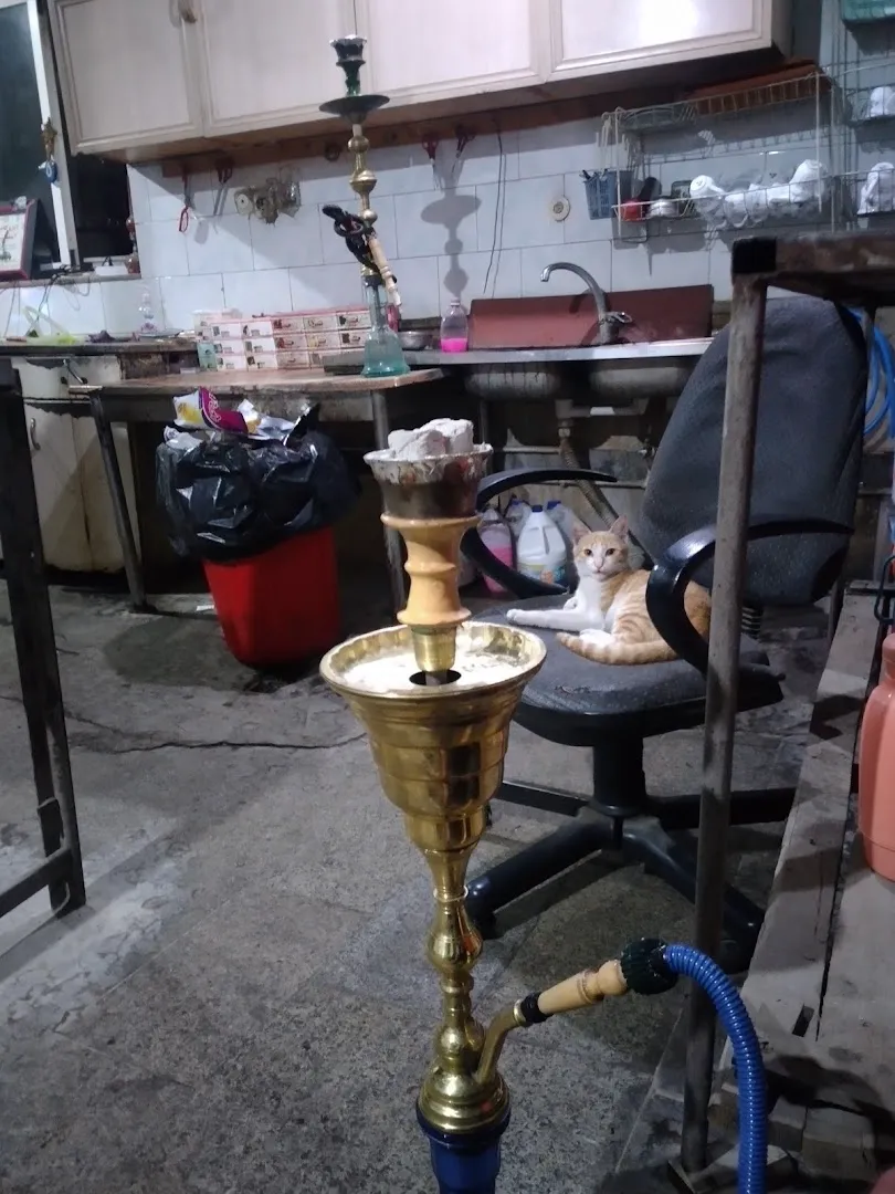 سفره خانه سنتی ستارخان (شعبه اصلی) - تصویر 2