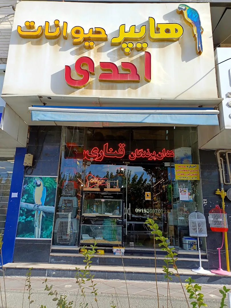 هایپرحیوانات (شعبه اصلی)