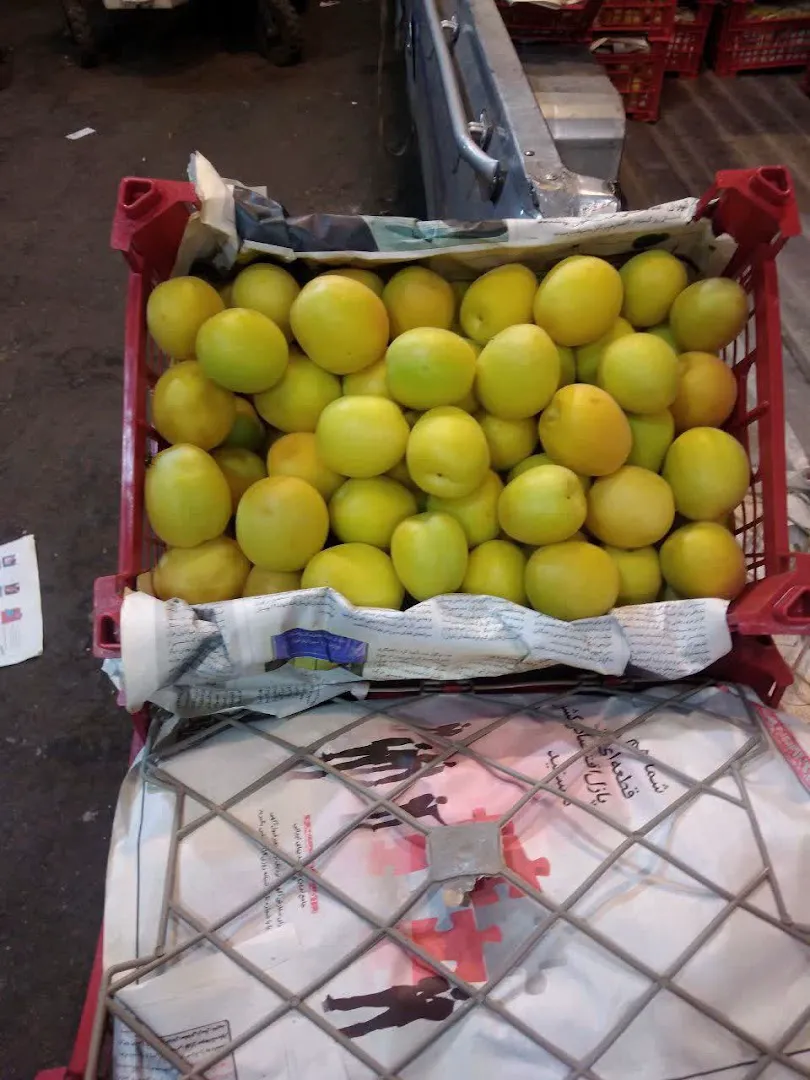 میدان مرکزی میوه و تره بار کرج (شعبه اصلی) - تصویر 4