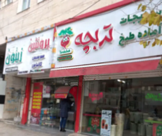 سبزیجات آماده به طبخ تربچه (شعبه اصلی) - تصویر 4