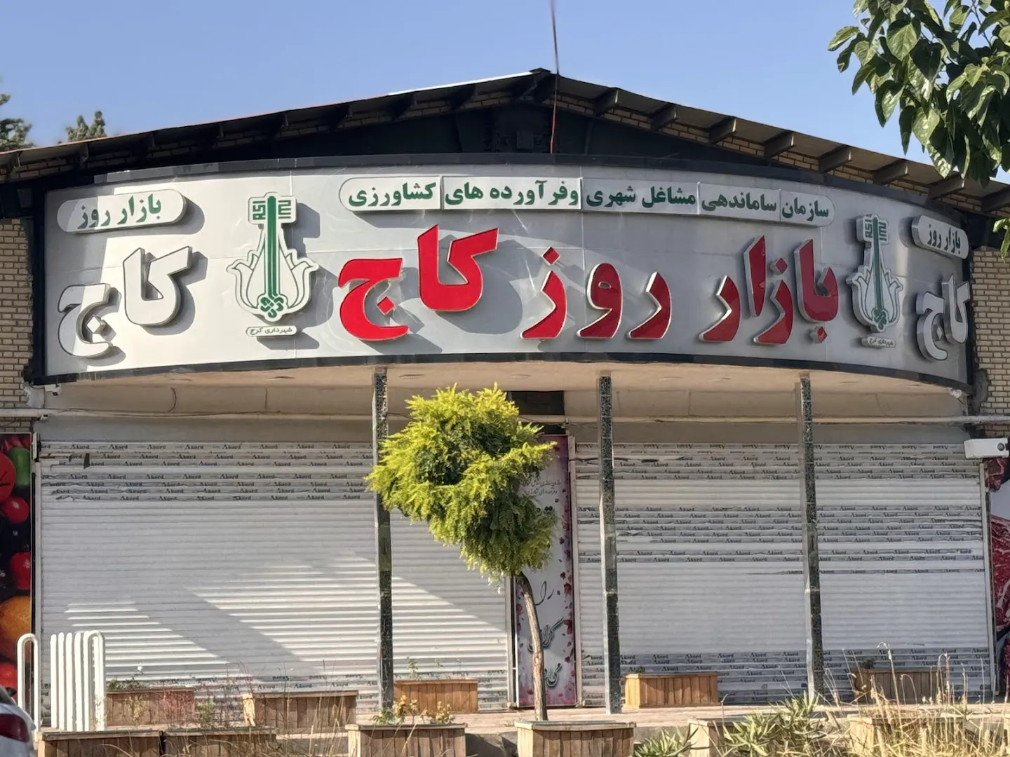 بازار روز کاج (شعبه اصلی)