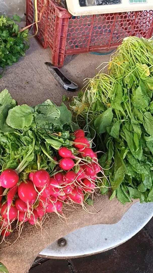 میوه سرای جهانشهر (شعبه اصلی) - تصویر 2