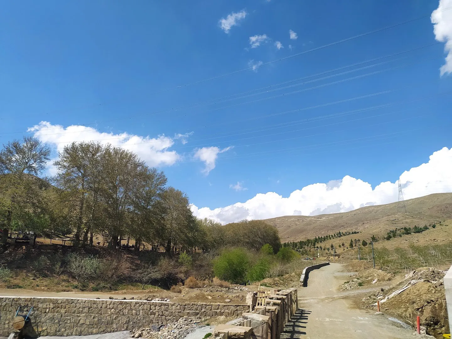 میوه فروشی پارک (علی آقا) (شعبه اصلی) - تصویر 4