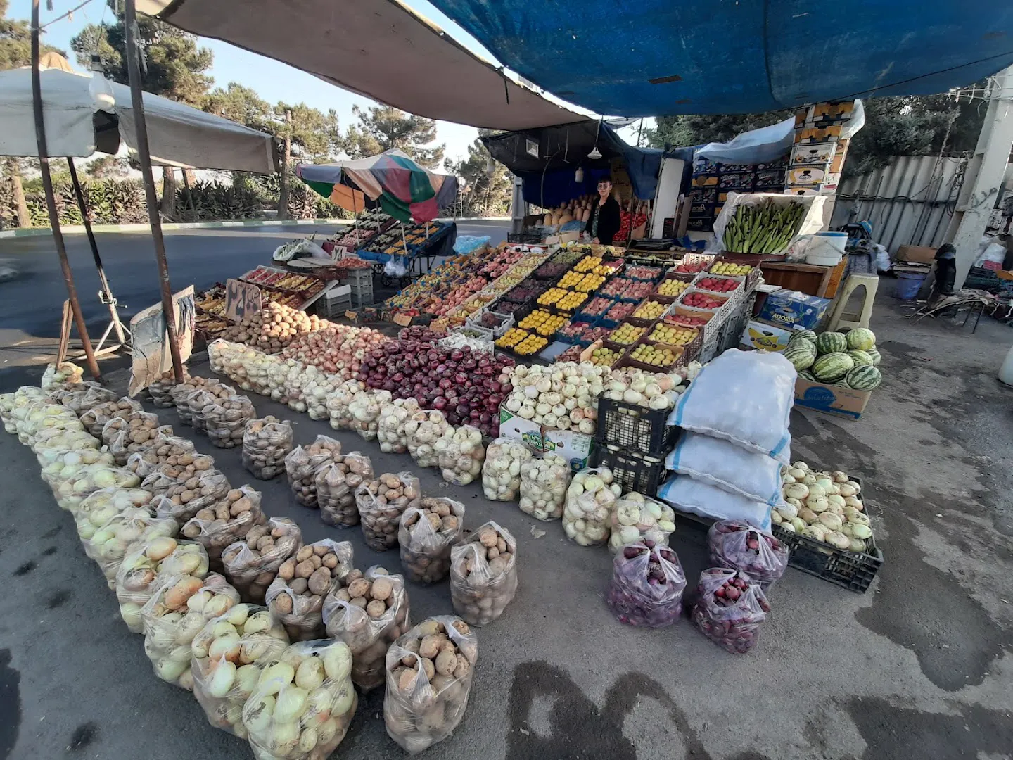 میوه فروشی علی مشهدی (شعبه اصلی)