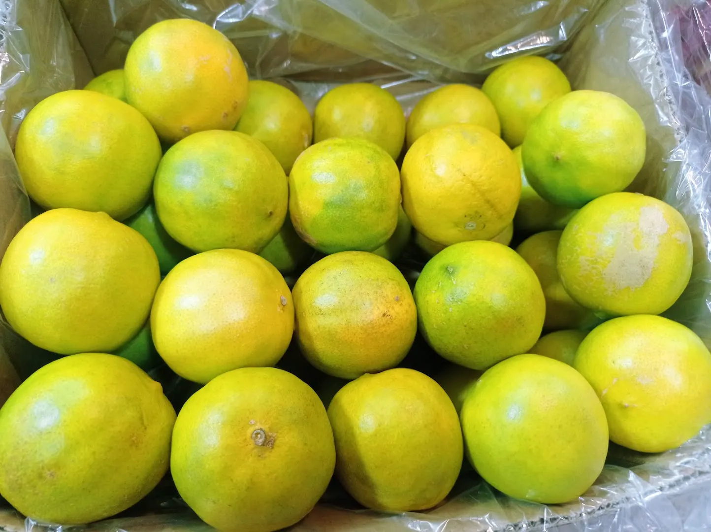 میوه فروشی ابراهیمیEbrahimi Fruit Store (شعبه اصلی) - تصویر 4