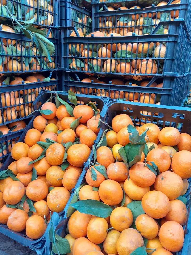 میوه سرای آذربایجان (میوه آنلاین کرج) (شعبه اصلی)
