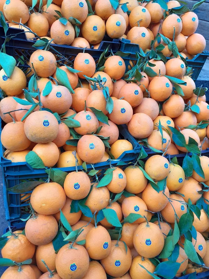 میوه سرای آذربایجان (میوه آنلاین کرج) (شعبه اصلی) - تصویر 2