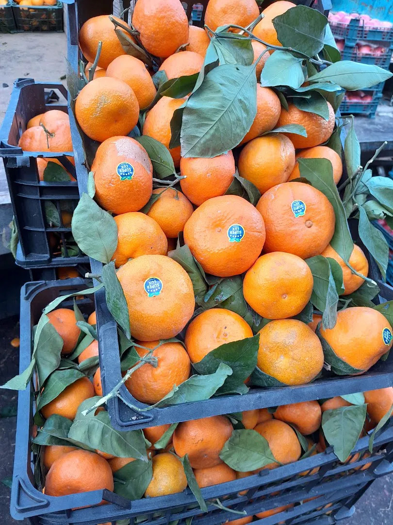 میوه سرای آذربایجان (میوه آنلاین کرج) (شعبه اصلی) - تصویر 4