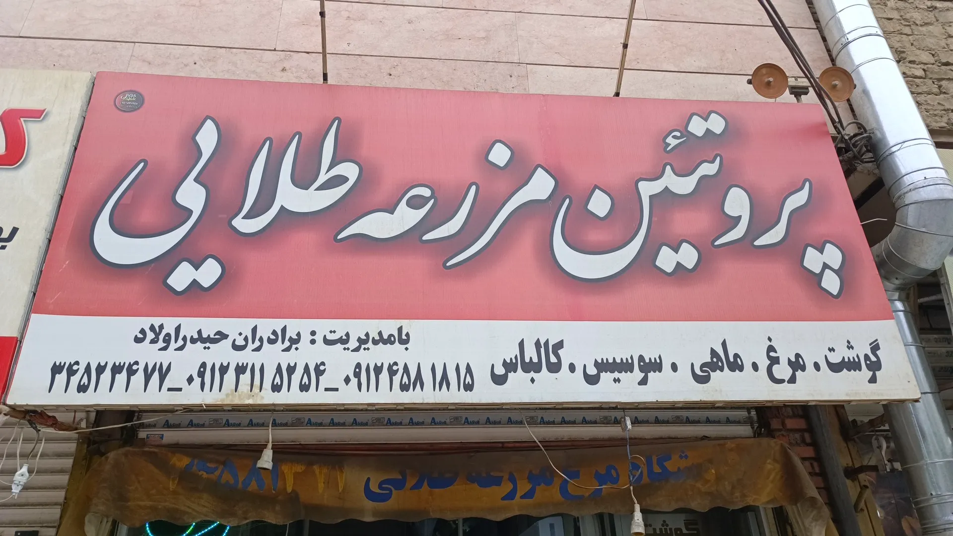 پروتئین مزرعه طلایی (شعبه اصلی)