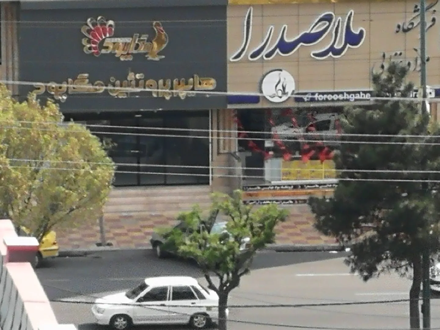 هایپر پروتئین مگاپود (شعبه اصلی)