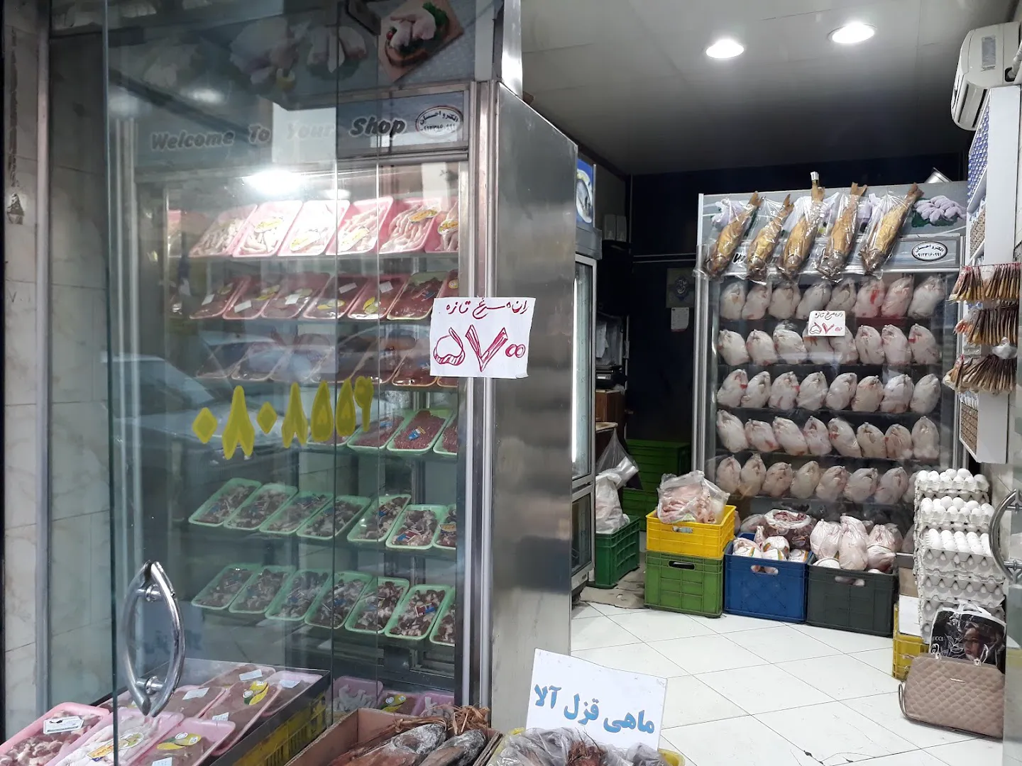 پروتئین لوسیک دادگرنیا (شعبه اصلی) - تصویر 2