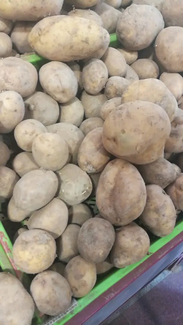 میدان میوه و تره بار شهید غیبی (شعبه اصلی) - تصویر 4