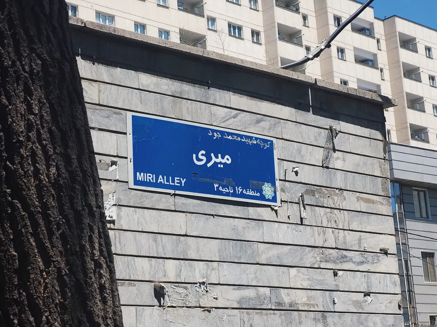 هایپر برادران (شعبه اصلی) - تصویر 3
