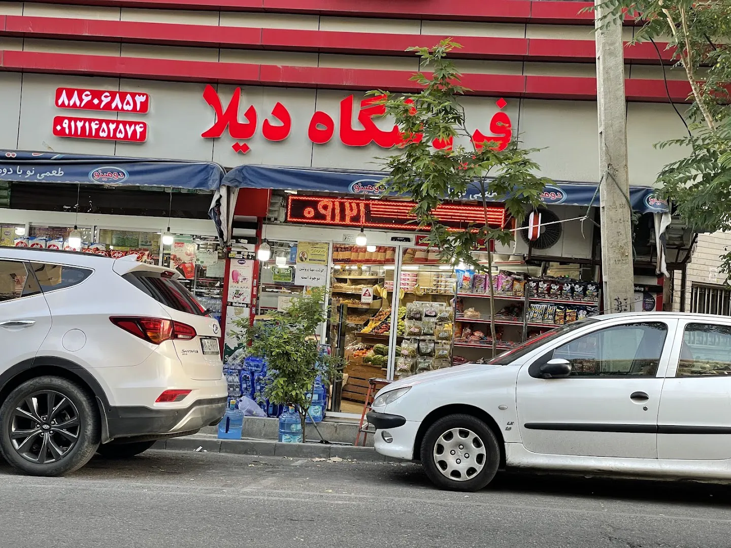 فروشگاه دیلا (شعبه اصلی) - تصویر 4