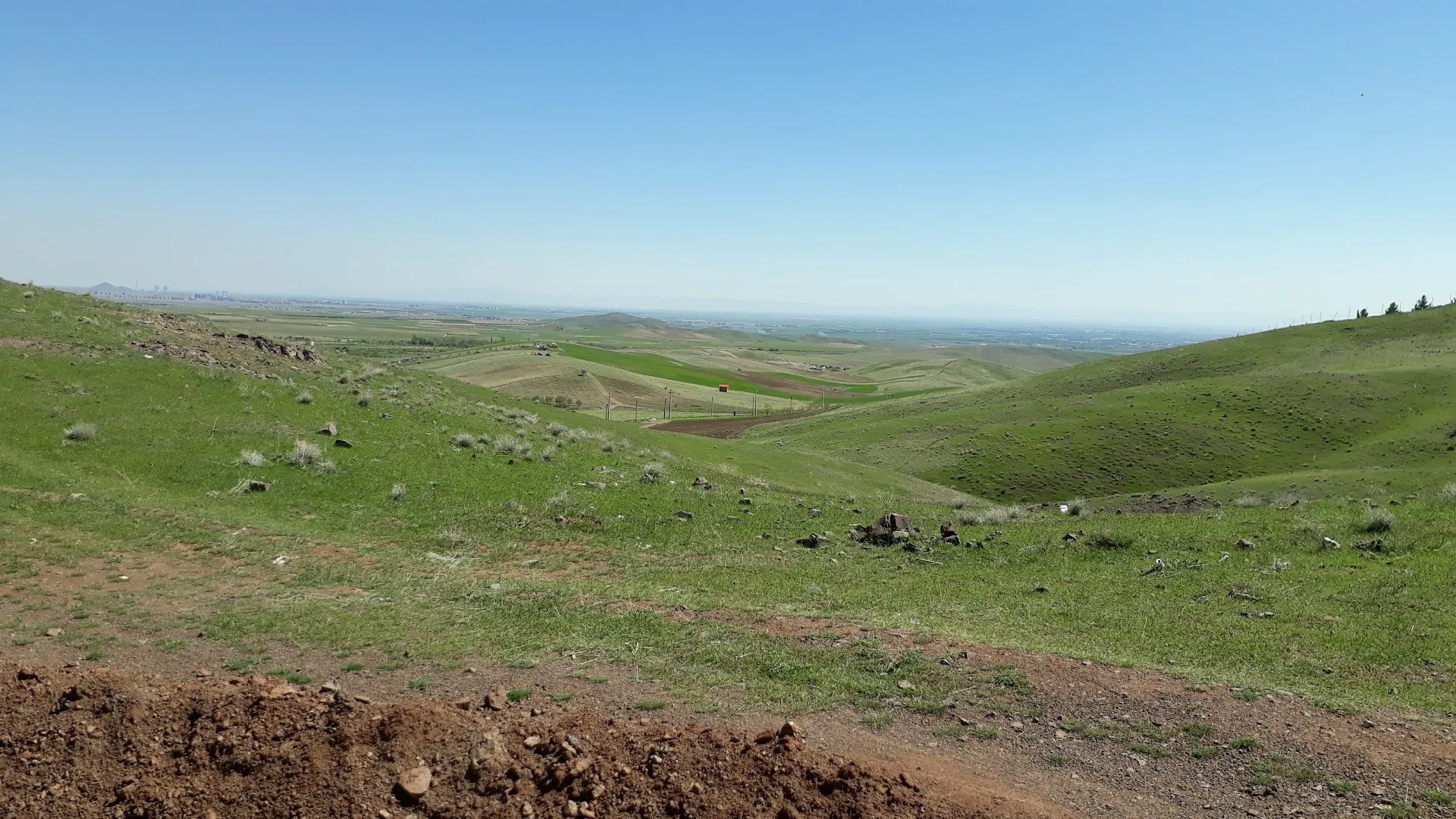 برادران صادقی نیا (شعبه اصلی) - تصویر 2
