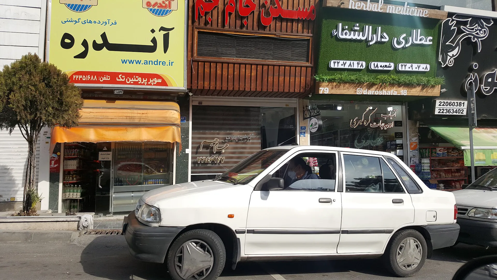 پروتئین آندره (شعبه اصلی) - تصویر 2
