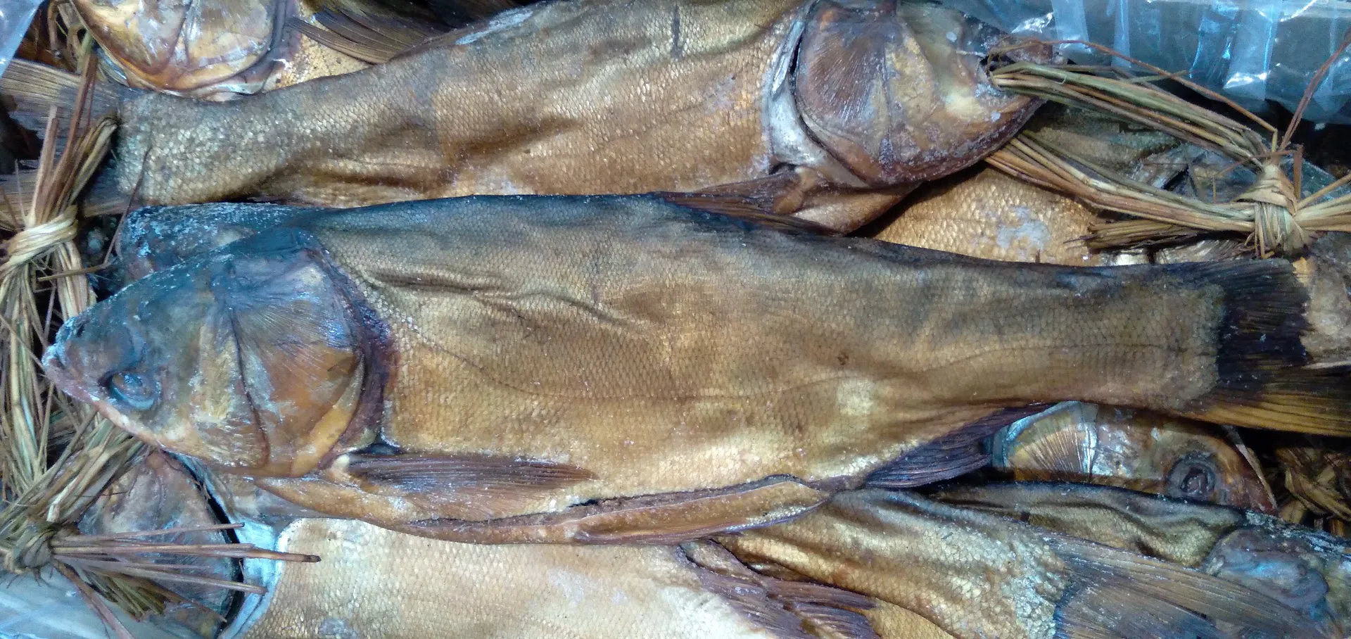 سوپر پروتئین یکتای بلوار (شعبه اصلی) - تصویر 2