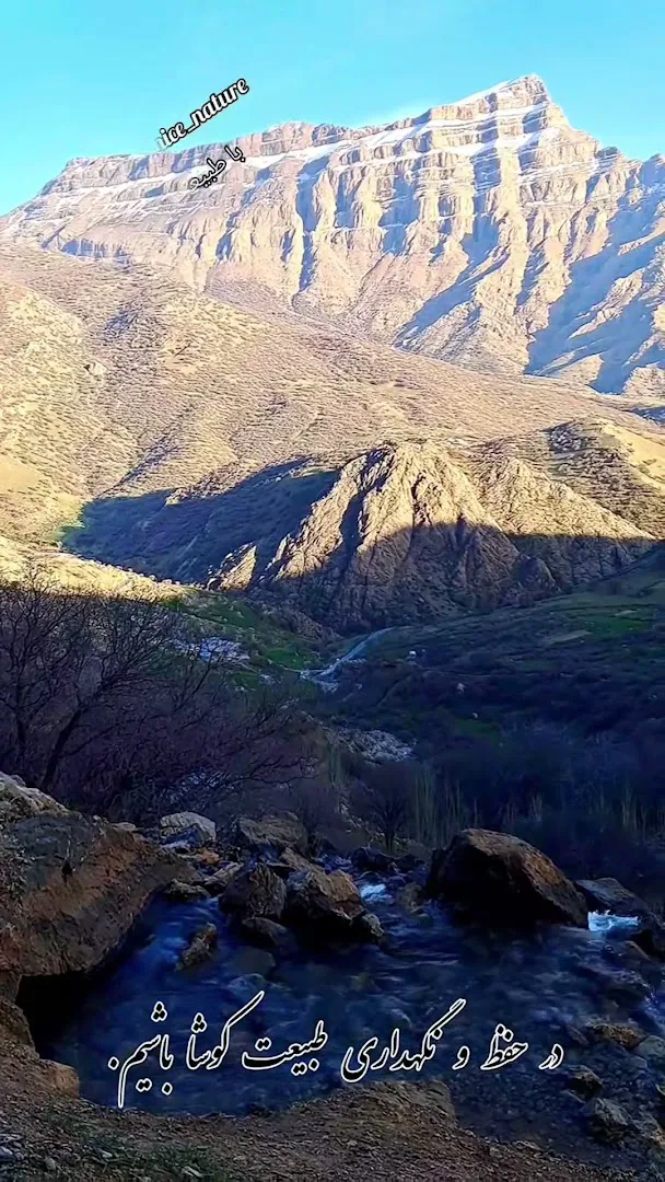 تهران دی جی (شعبه اصلی) - تصویر 2