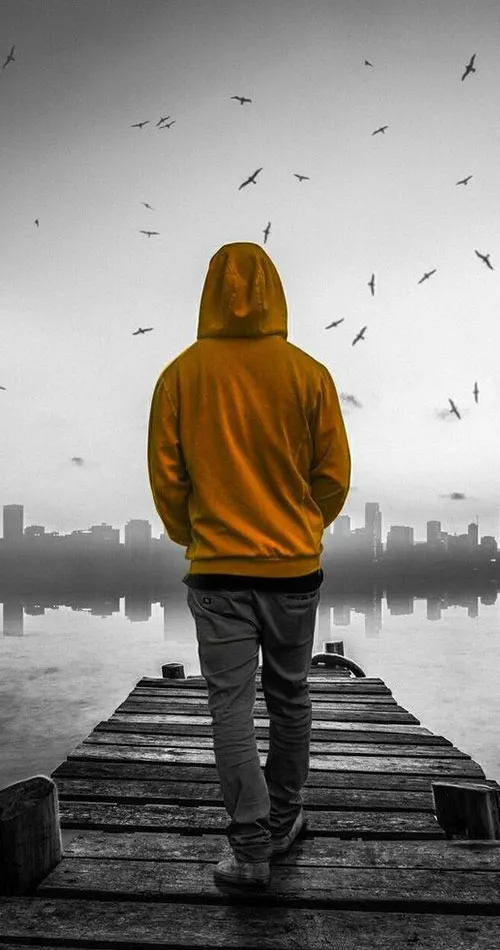 فروشگاه اینترنتی لیپک (شعبه اصلی) - تصویر 3