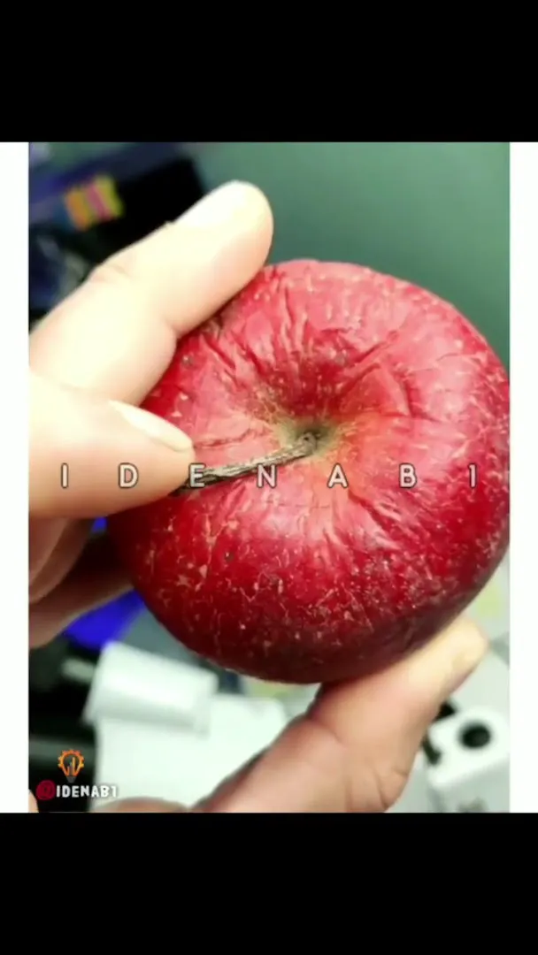 بازار میوه و تره بار شهرداری (شعبه اصلی) - تصویر 2