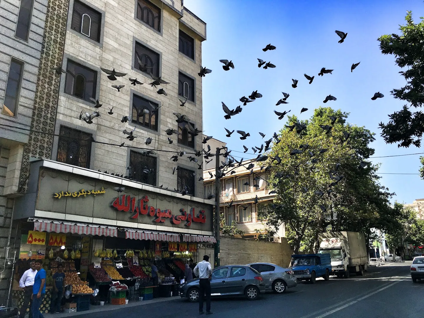 تعاونی میوه ثارالله (شعبه اصلی) - تصویر 4