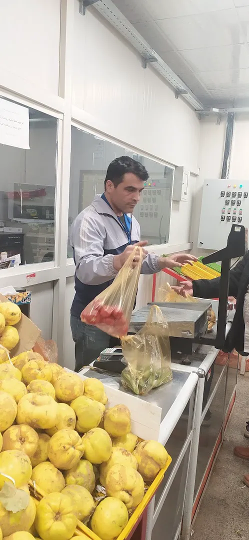 بازار میوه و ترهبار کیانشهر (شعبه اصلی) - تصویر 3