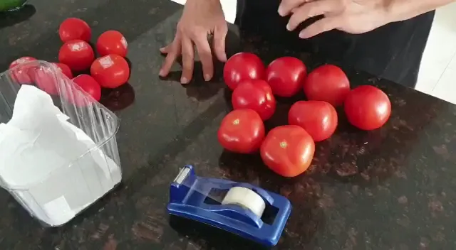 تره بار هفت چنار‌ (شعبه اصلی) - تصویر 2