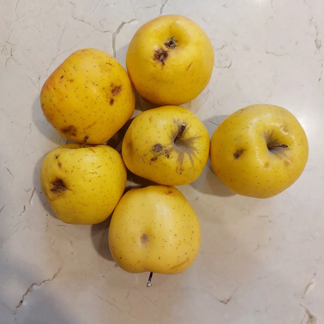 میوه و تره بار ماردین (شعبه اصلی) - تصویر 4