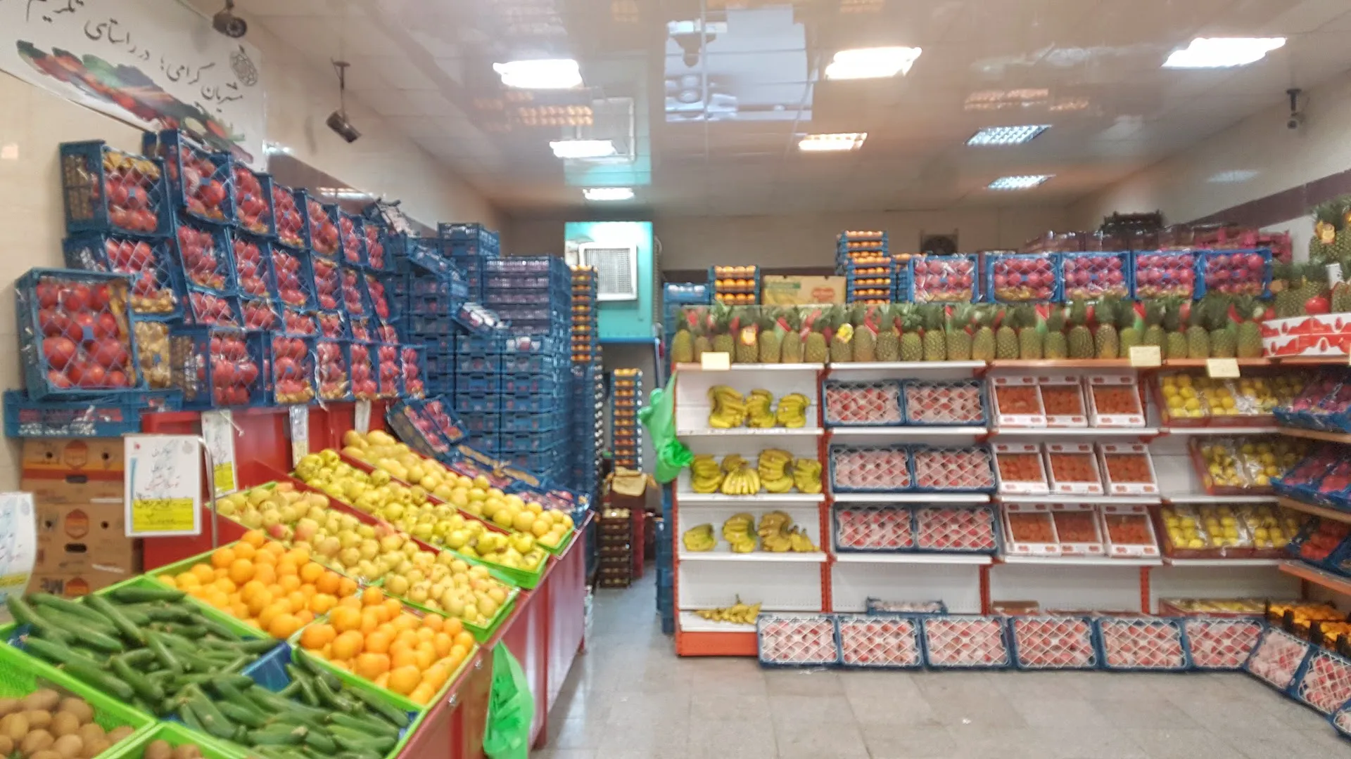 میدان میوه و تره‌بار آزادگان (شعبه اصلی) - تصویر 2