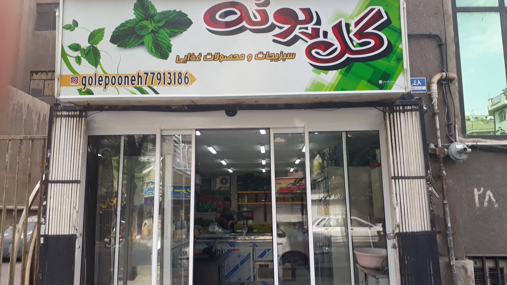 سبزی گل پونه (شعبه اصلی) - تصویر 4