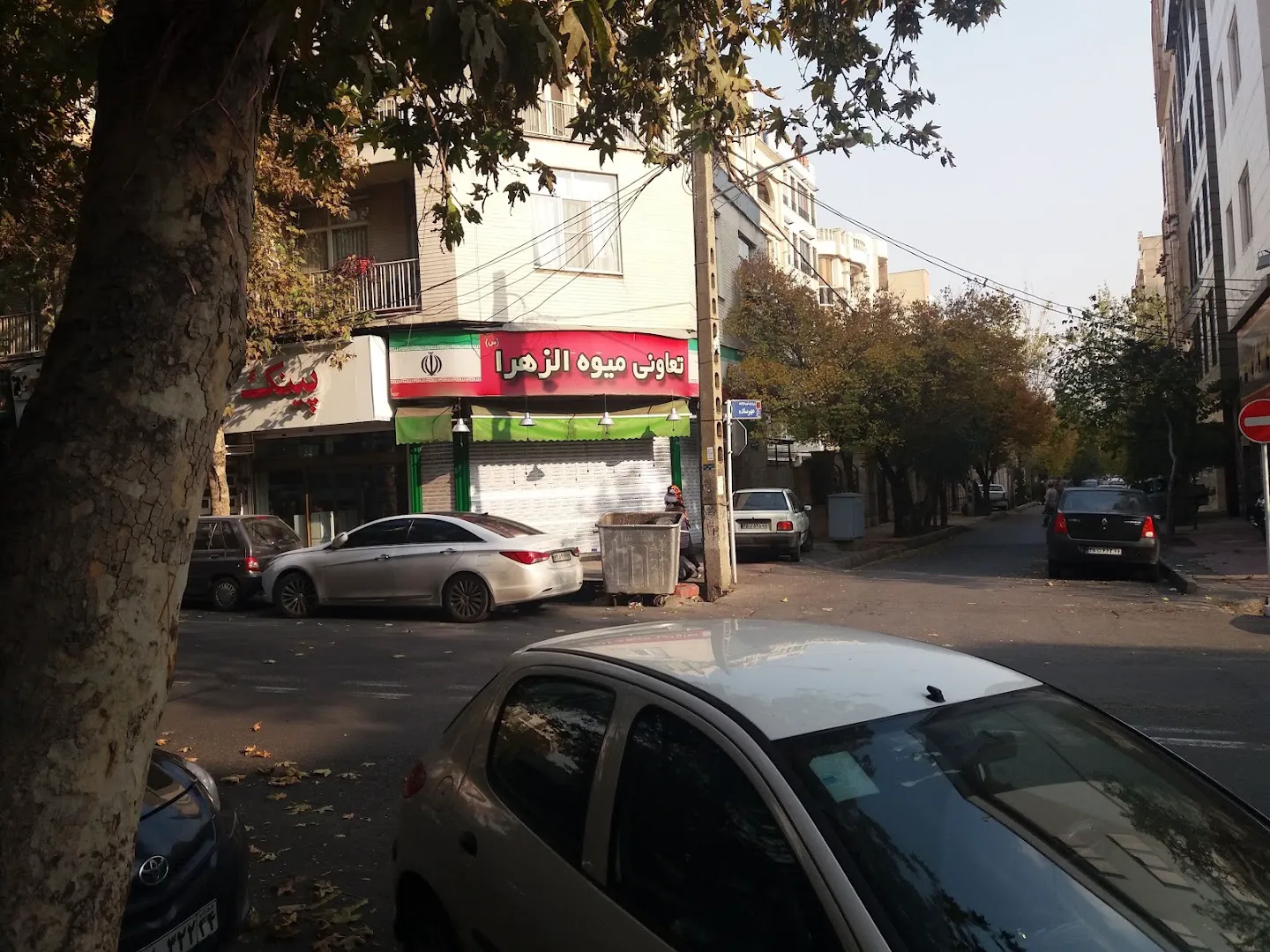میوه فروشی الزهرا Grocery Store (شعبه اصلی) - تصویر 3