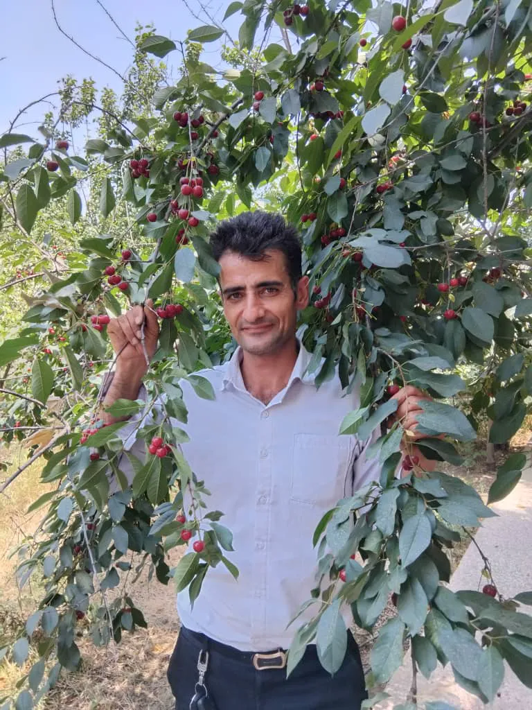 سوپر میوه لوکس (شعبه اصلی) - تصویر 4