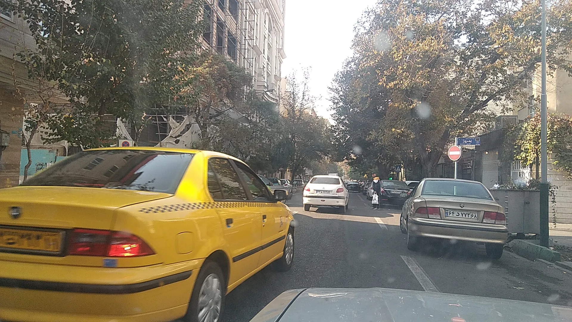 خدمات سبزی فرهنگ (شعبه اصلی) - تصویر 3