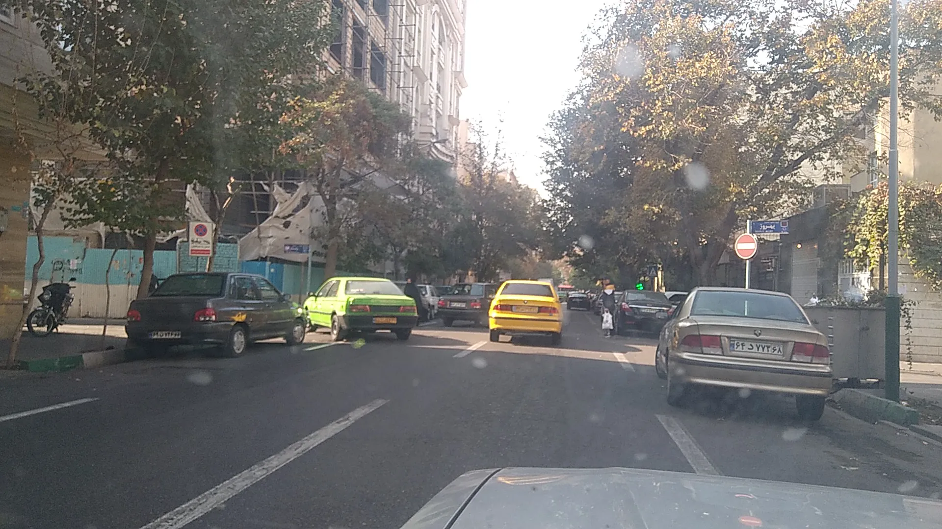 خدمات سبزی فرهنگ (شعبه اصلی) - تصویر 4