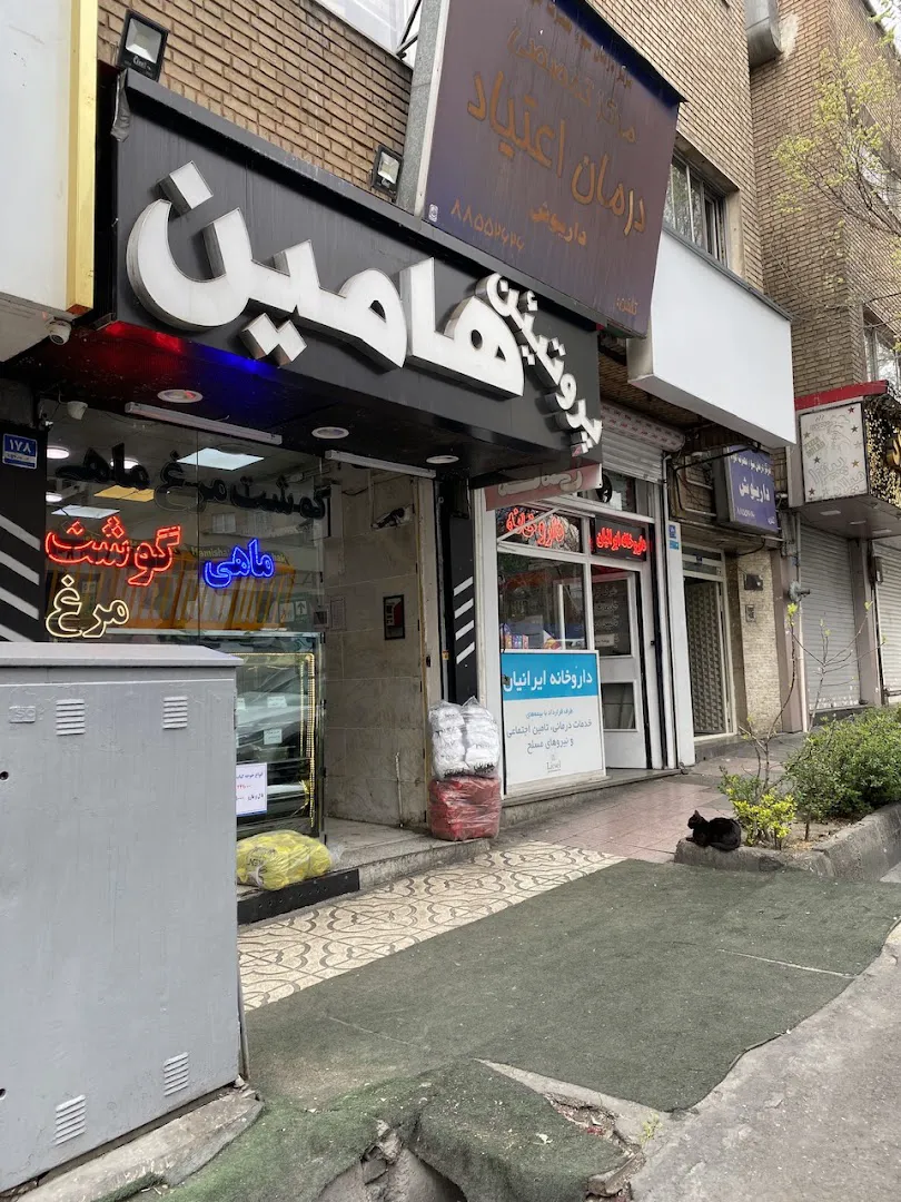 سوپر پروتئین هامین ( قصابی گوشت و مرغ و ماهی ) (شعبه اصلی) - تصویر 2