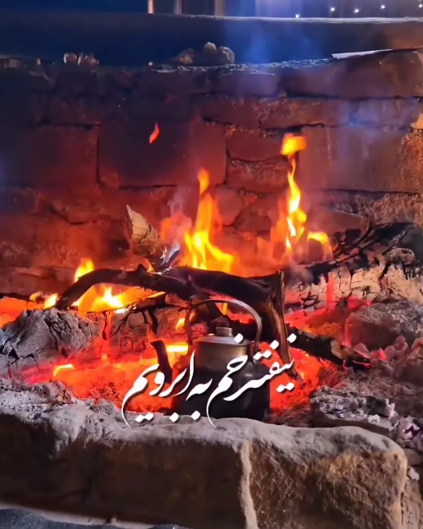 گوشت دشت مغان (شعبه اصلی) - تصویر 2