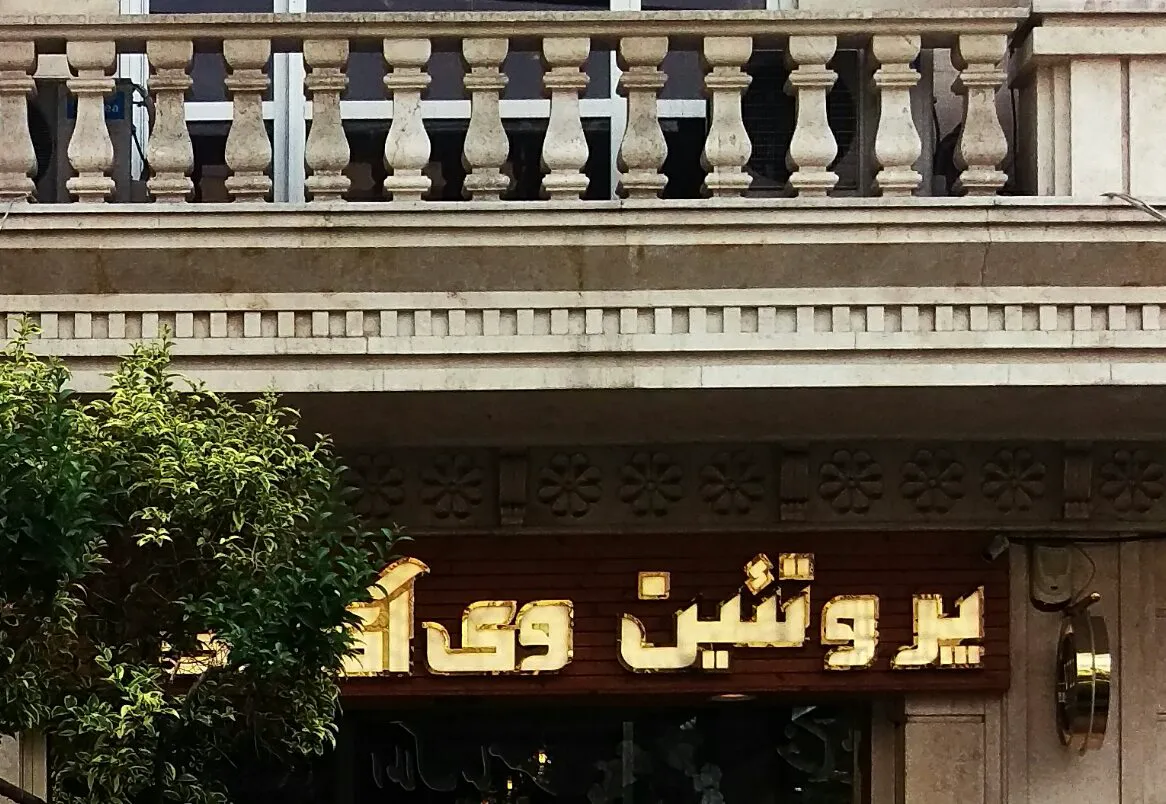 پروتئین وی‌آی‌پی (شعبه اصلی) - تصویر 2