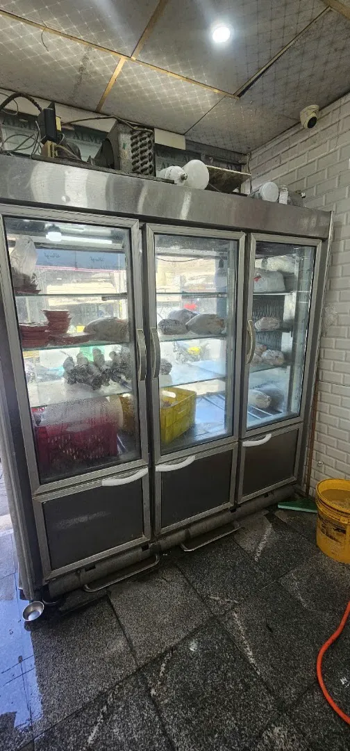سوپر پروتئین رویال (گوشت و مرغ) (شعبه اصلی) - تصویر 4
