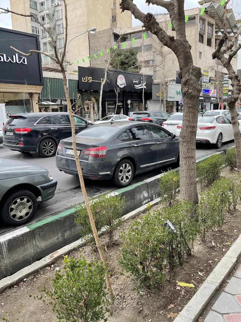 پروتئين صدف پاسداران (شعبه اصلی) - تصویر 2